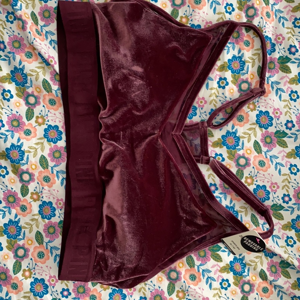 New with Tags Velvet PINK Sports bra